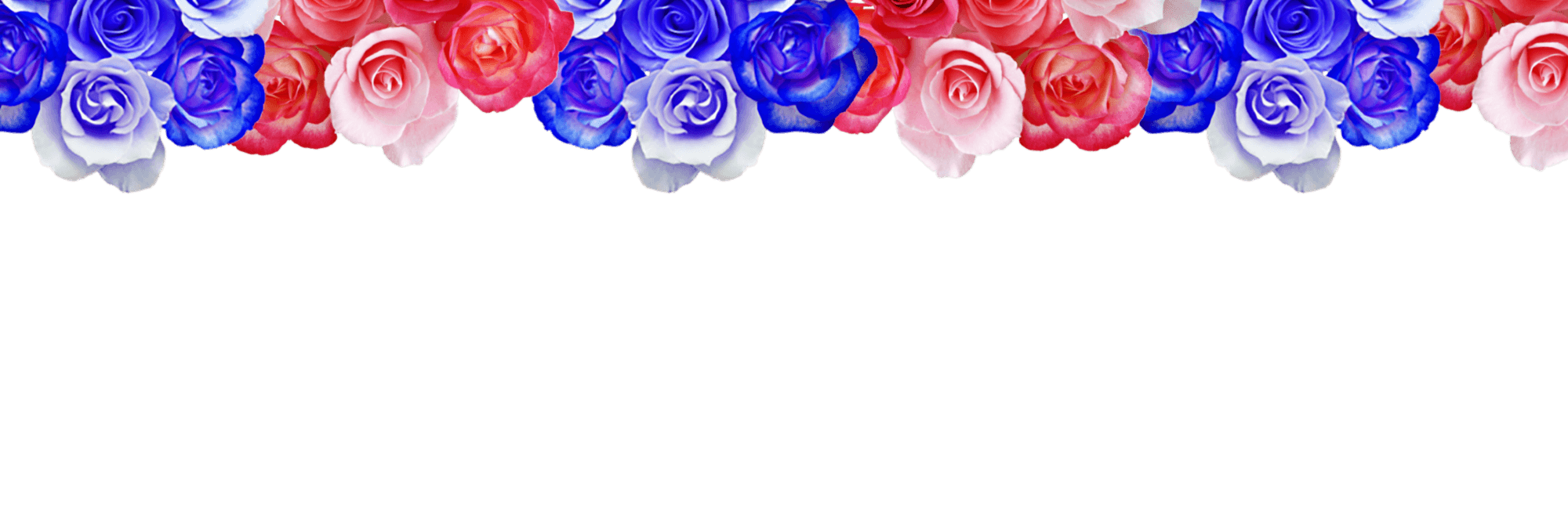 薔薇